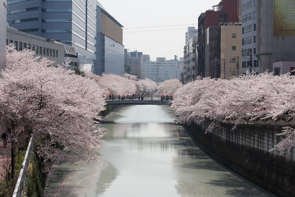 Nesthotel Alt Meguro Ekimae Tóquio Exterior foto